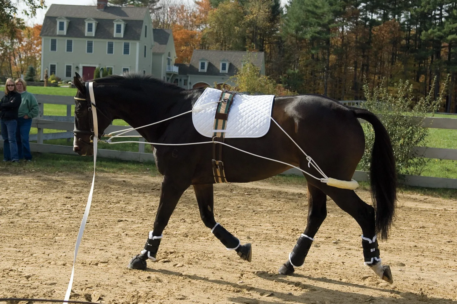 Pessoa Training System