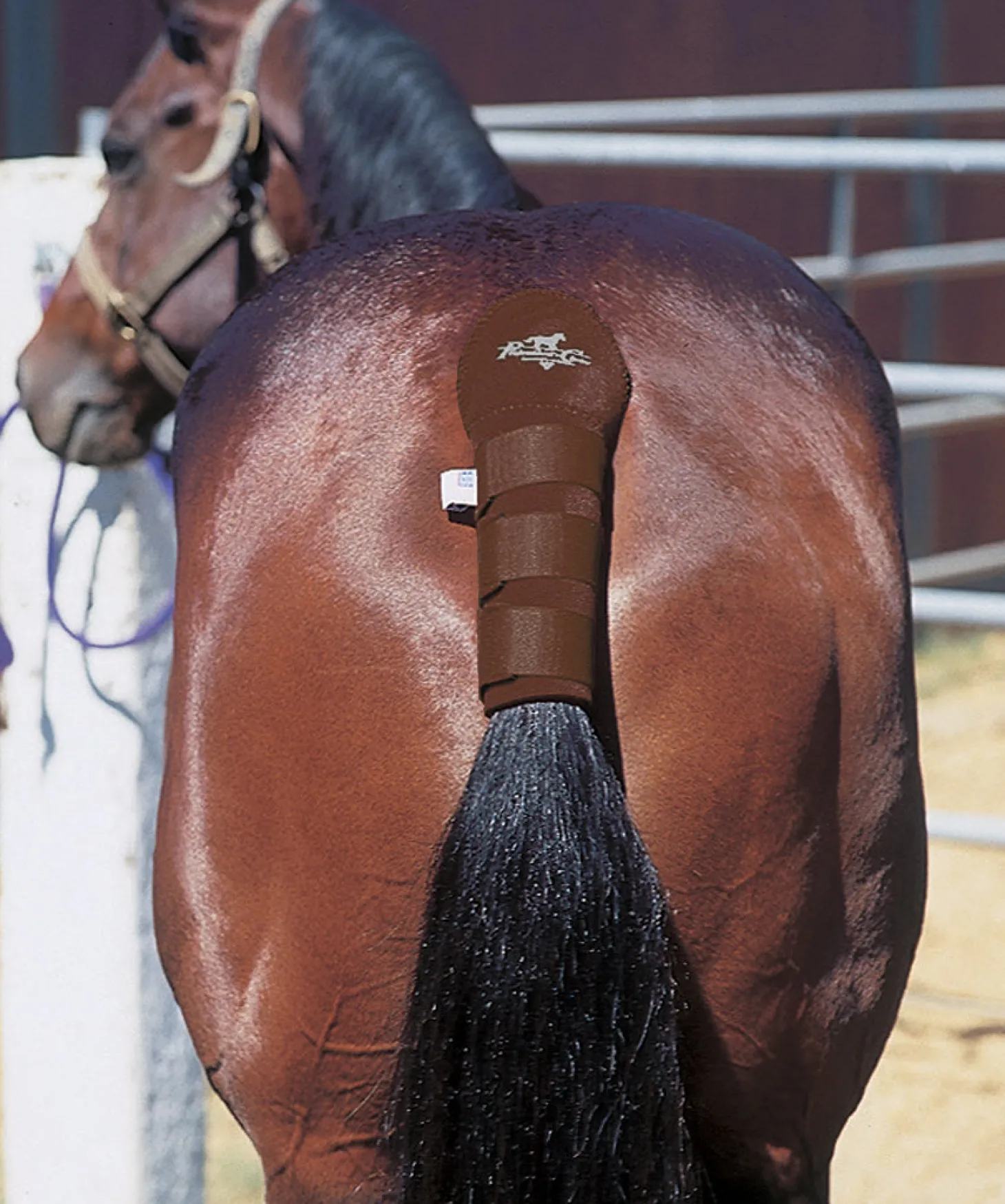 Professional's Choice® Tail Wrap