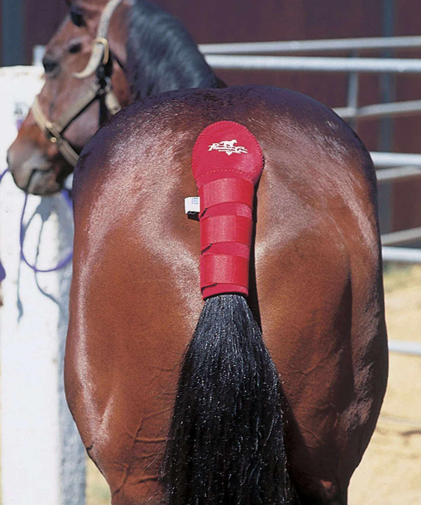 Professional's Choice® Tail Wrap