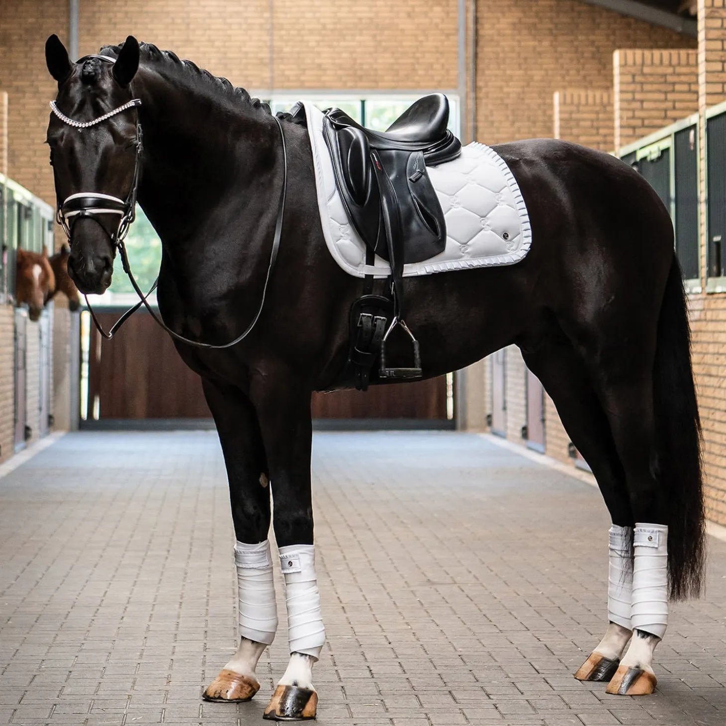 PS of Sweden Ruffle Dressage Saddle Pad