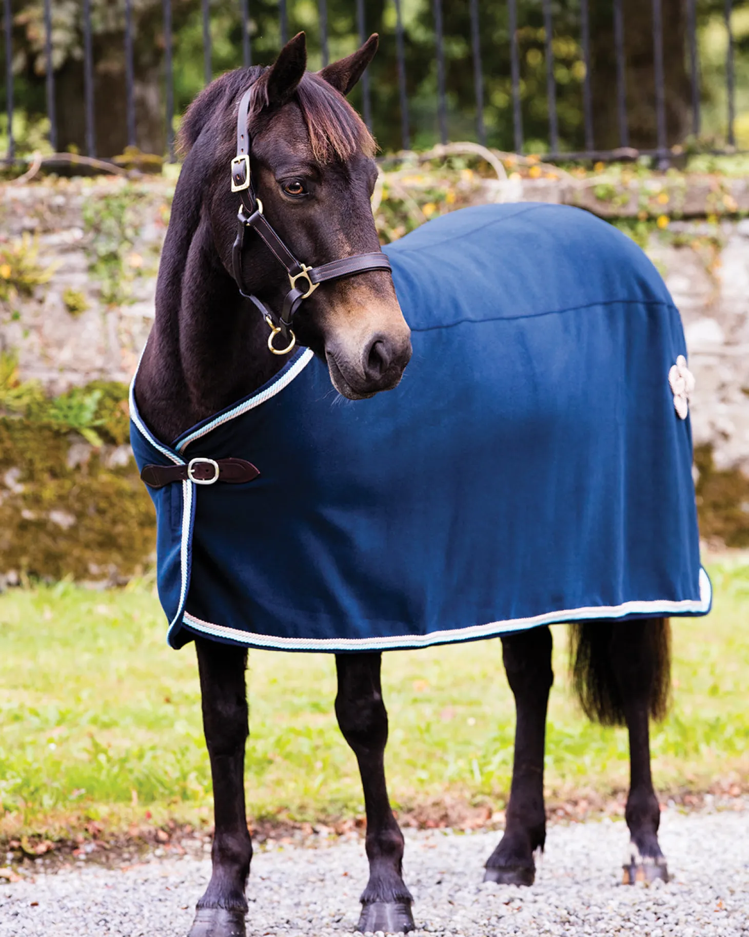 Rambo® Show Blanket