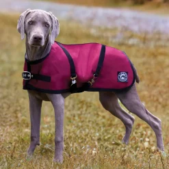 Rider’s International™ Dog Turnout Sheet