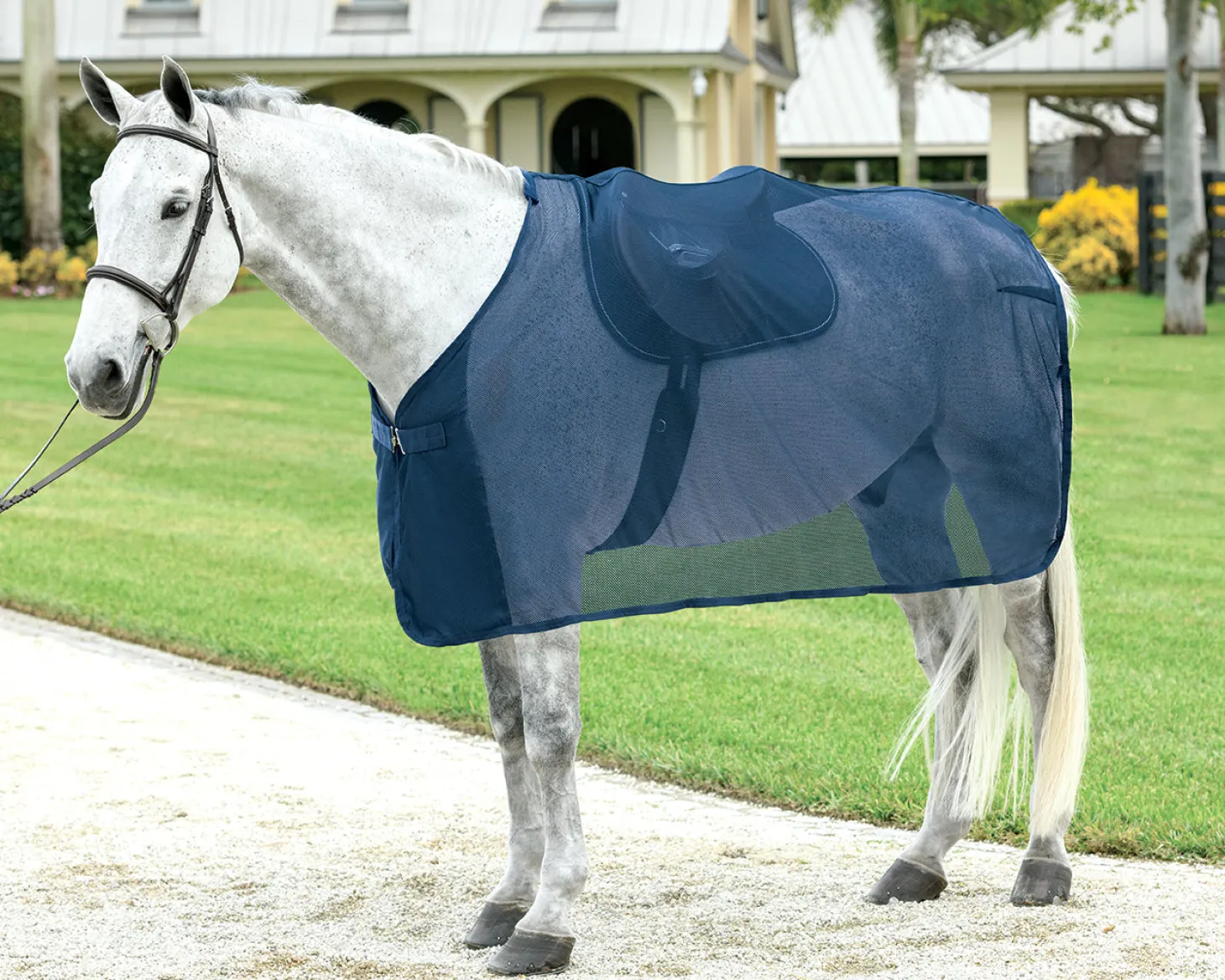 Rider’s International™ Ringside Scrim Sheet