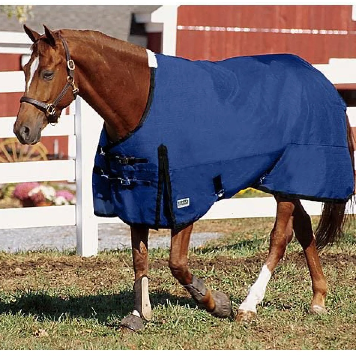 Rider’s International™ Supreme Heavyweight Turnout Blanket