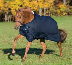Rider’s International™ Supreme 100 Gram Turnout Blanket
