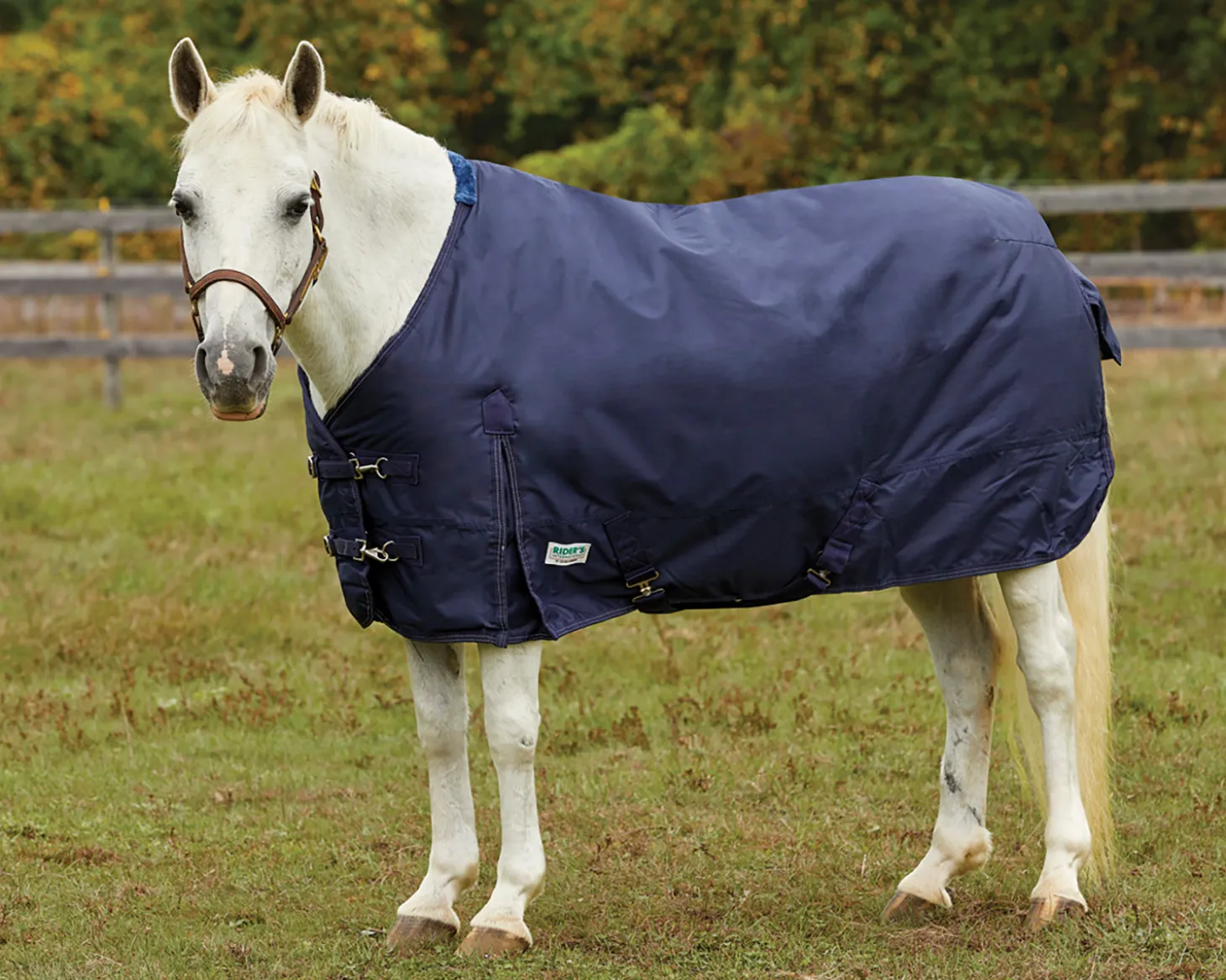 Rider’s International™ Turnout Sheet