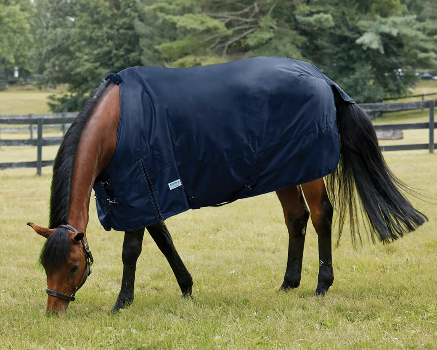Rider’s International™ Turnout Sheet