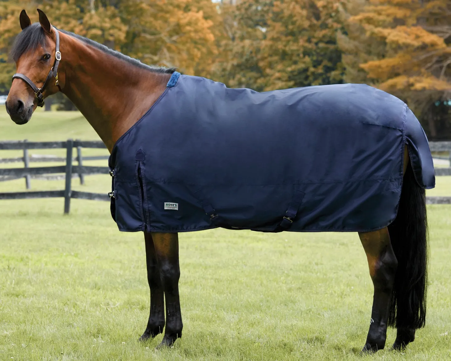 Rider’s International™ Turnout Sheet