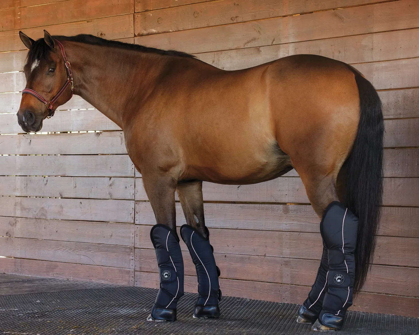 Rider’s International™ Shipping Boot Set
