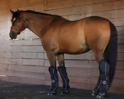 Rider’s International™ Shipping Boot Set