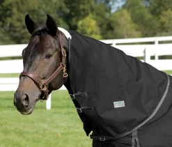 Rider’s International™ Supreme Neck Cover