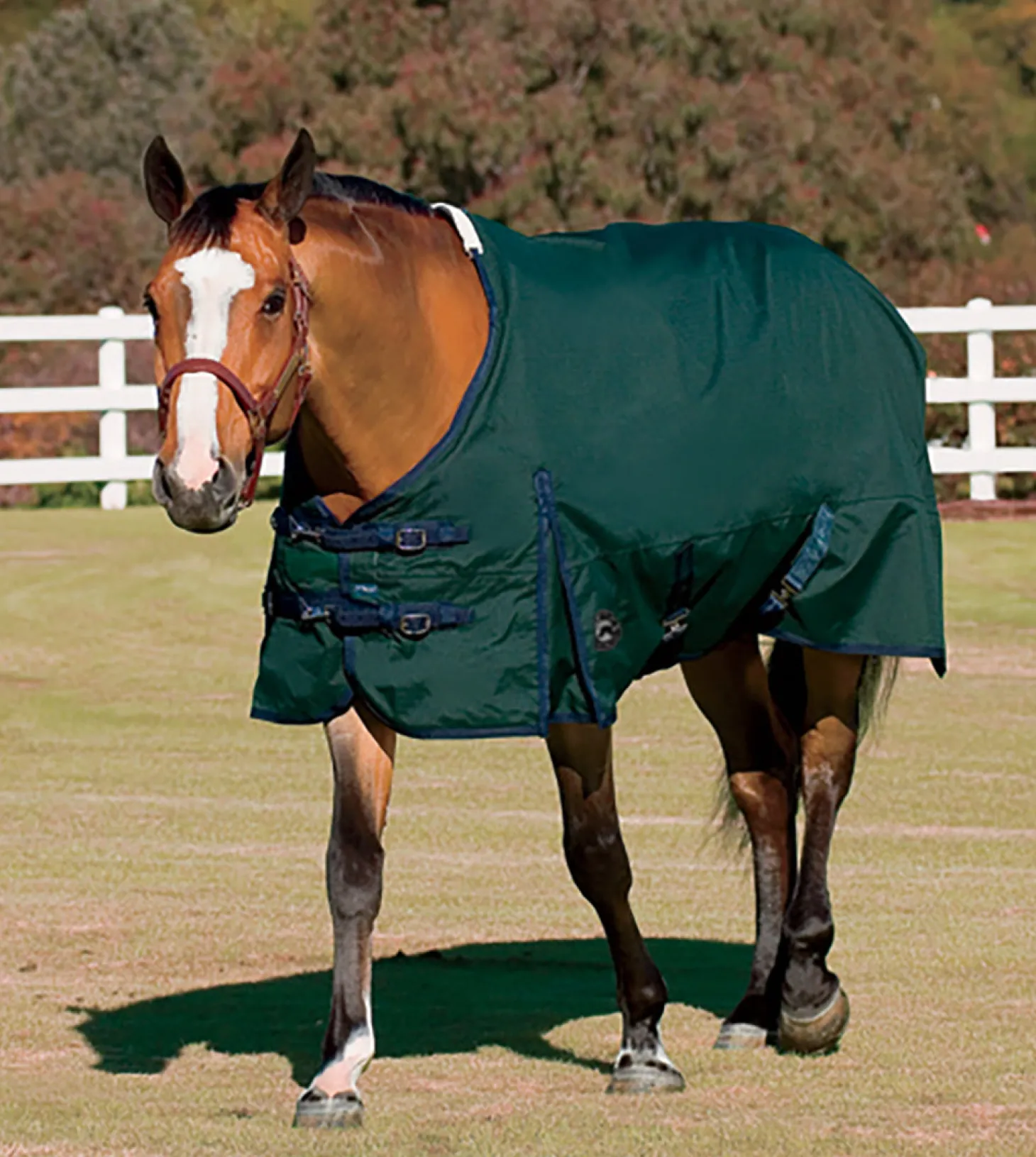Rider’s International™ Supreme Turnout Sheet