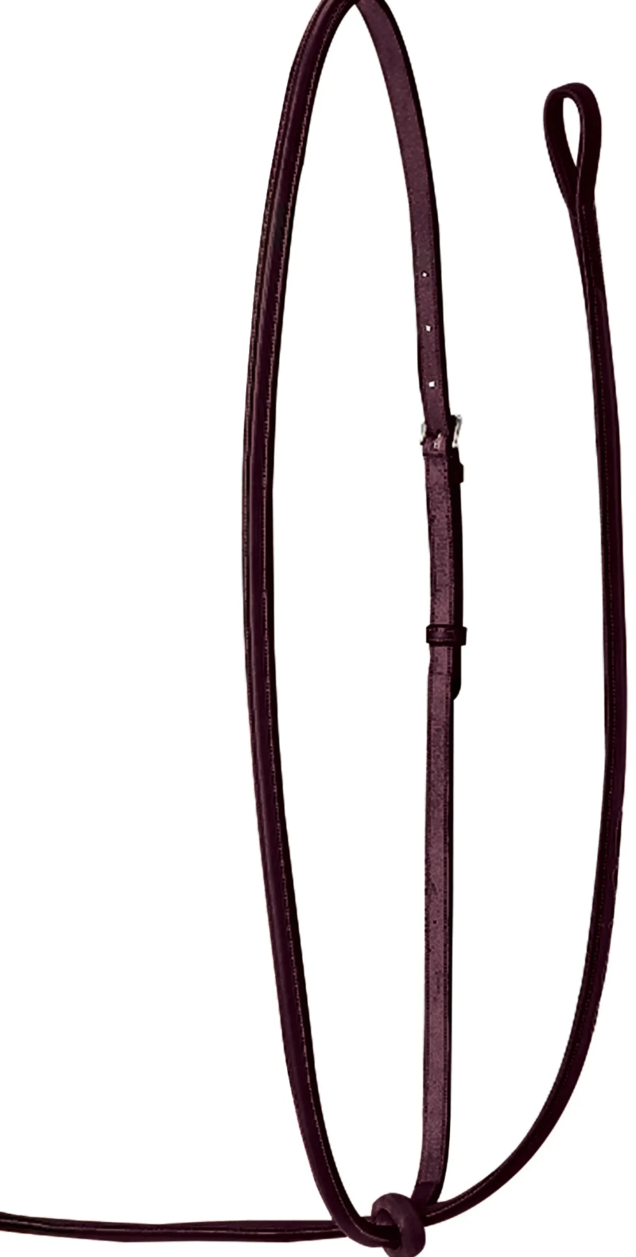 Rodrigo Raised Fancy Stitched Martingale