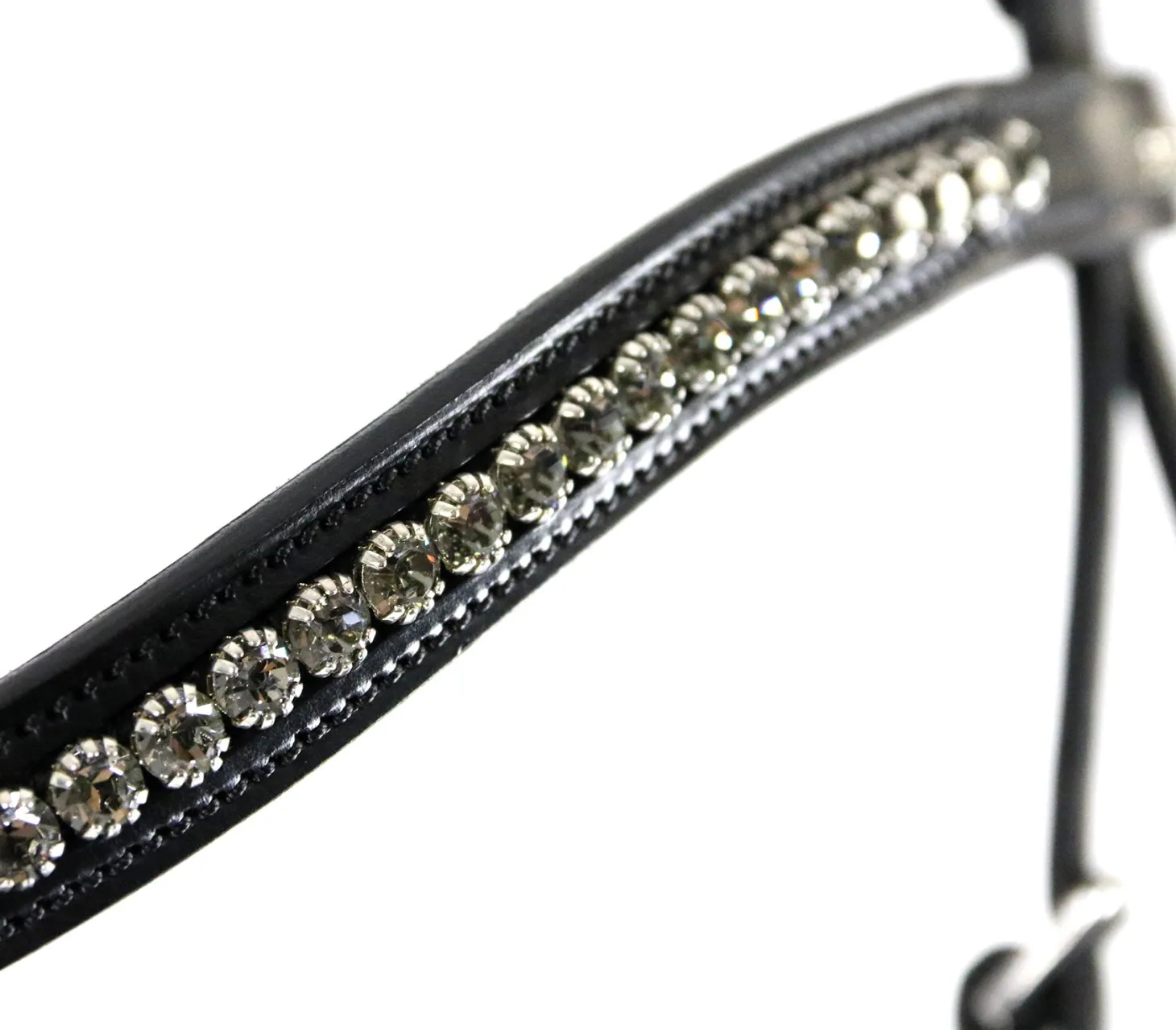 Schockemöhle Equitus Beta Bridle