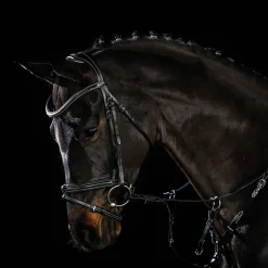Schockemöhle Tokyo F Bridle