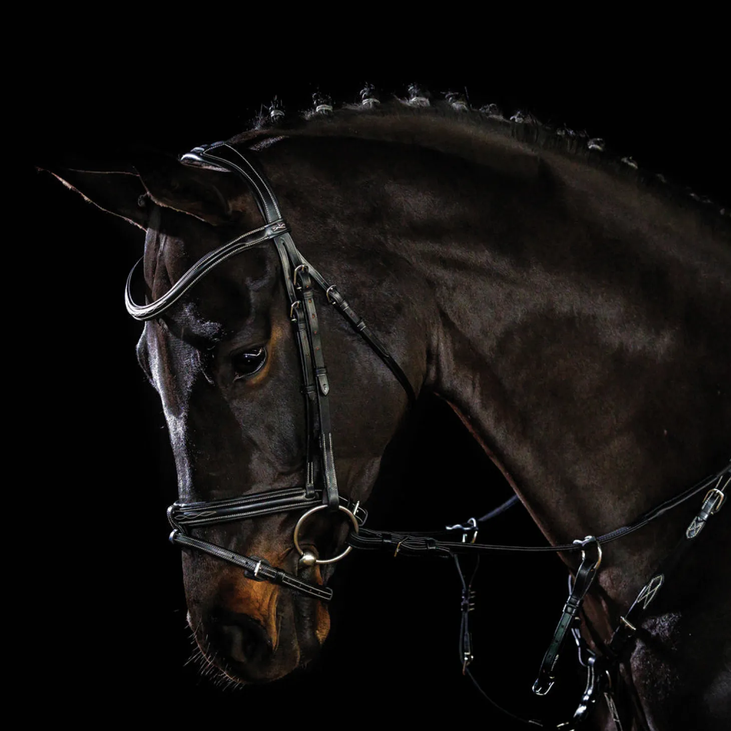 Schockemöhle Tokyo F Bridle