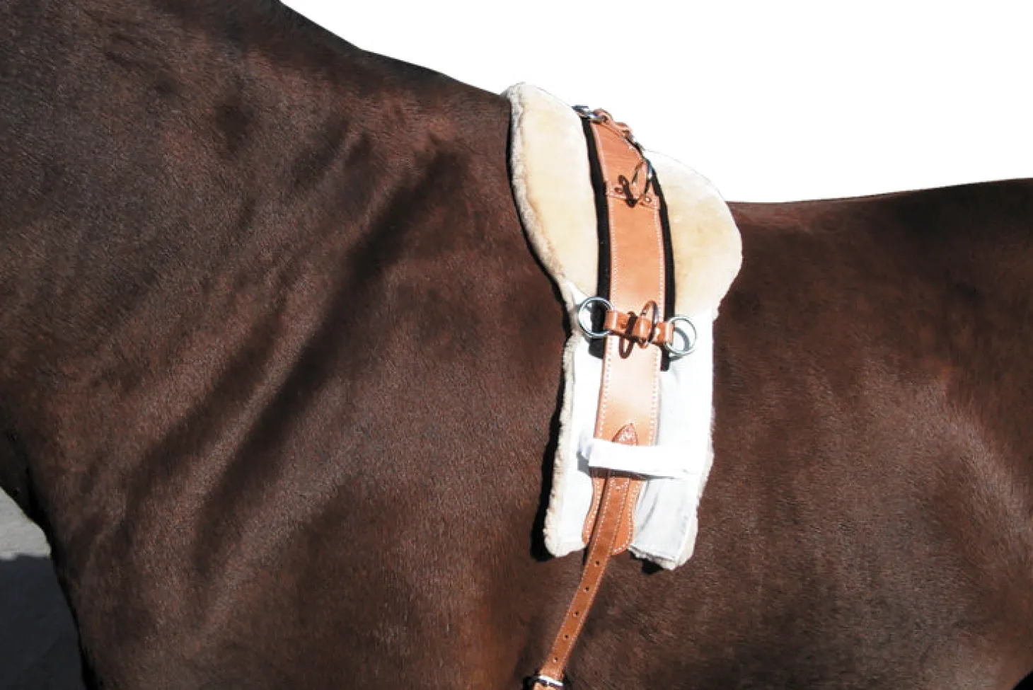 Sheepskin Surcingle Pad