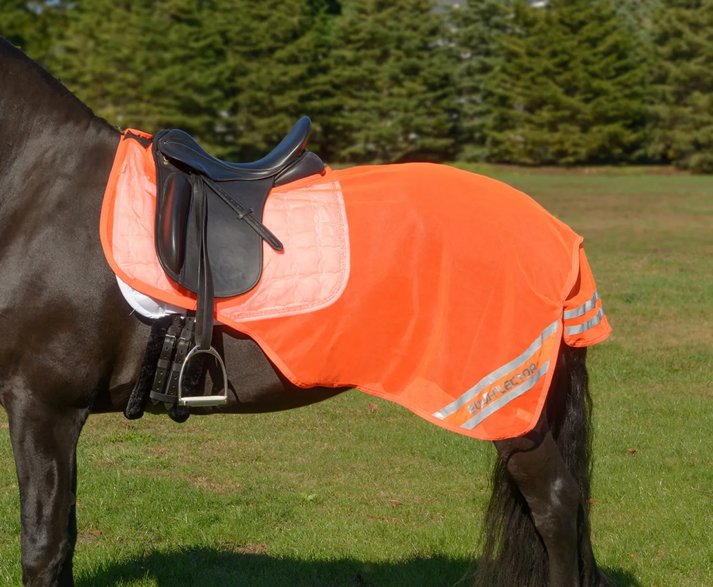 Shires Equi-Flector® Exercise Sheet