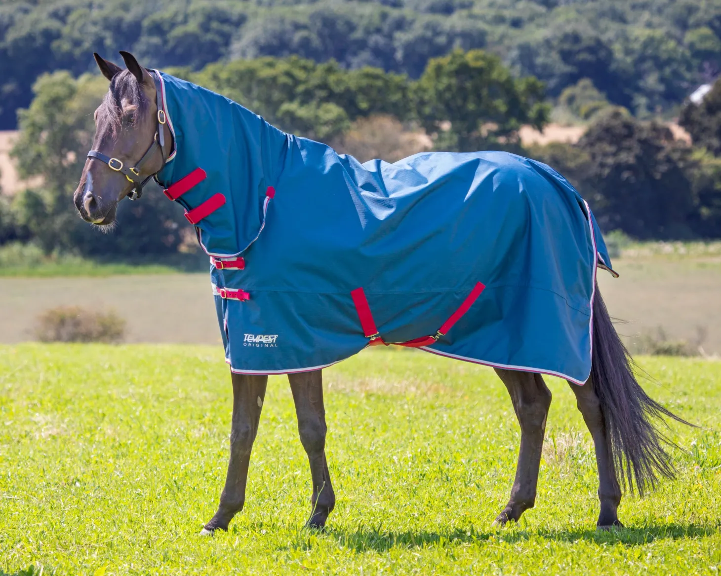 Shires Tempest Original Lite Combo Turnout Sheet