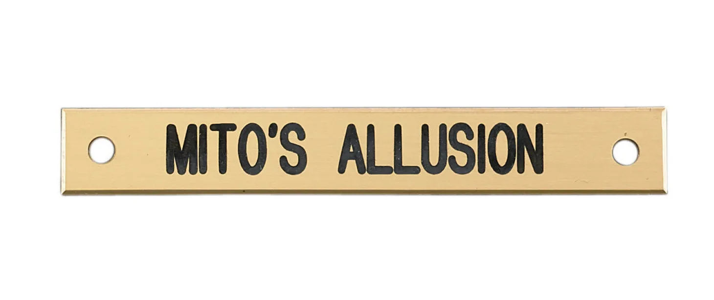 Small Rectangular Halter Nameplate