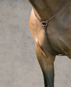 Suffolk™ Hunter Breastplate