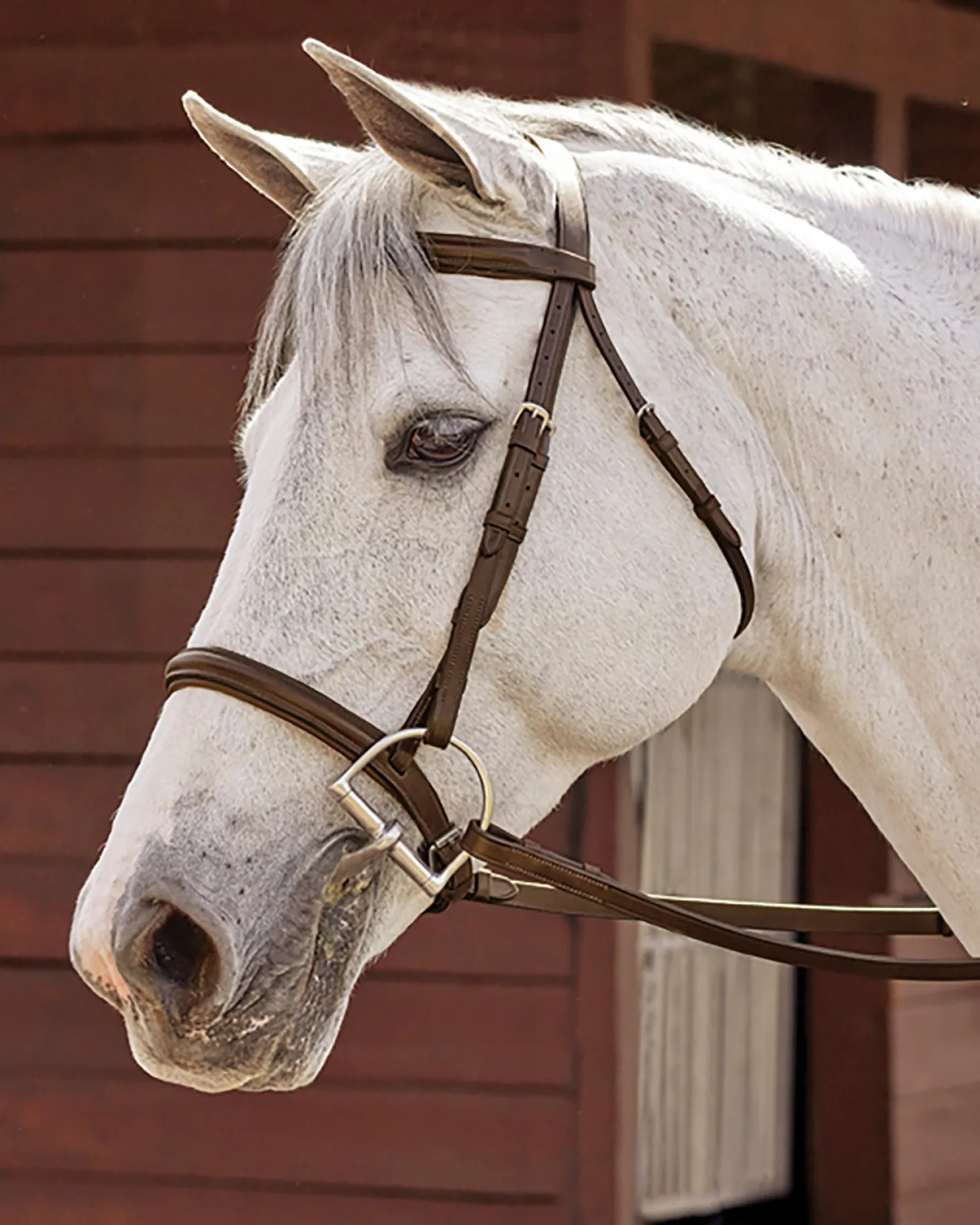 Suffolk™ Hunter Fancy-Stitched Bridle