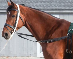 Suffolk™ Side Reins with Elastic