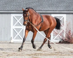 Suffolk™ Side Reins with Elastic