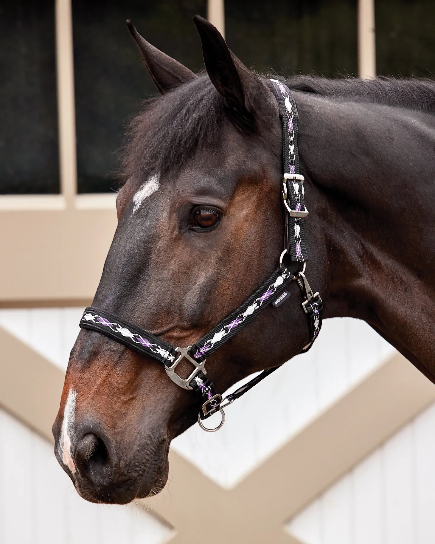 Suffolk™ Woven Argyle Breakaway Halter