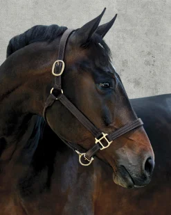 Suffolk™ Palermo Triple-Stitched Halter