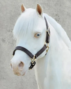 Suffolk™ Palermo Triple-Stitched Halter