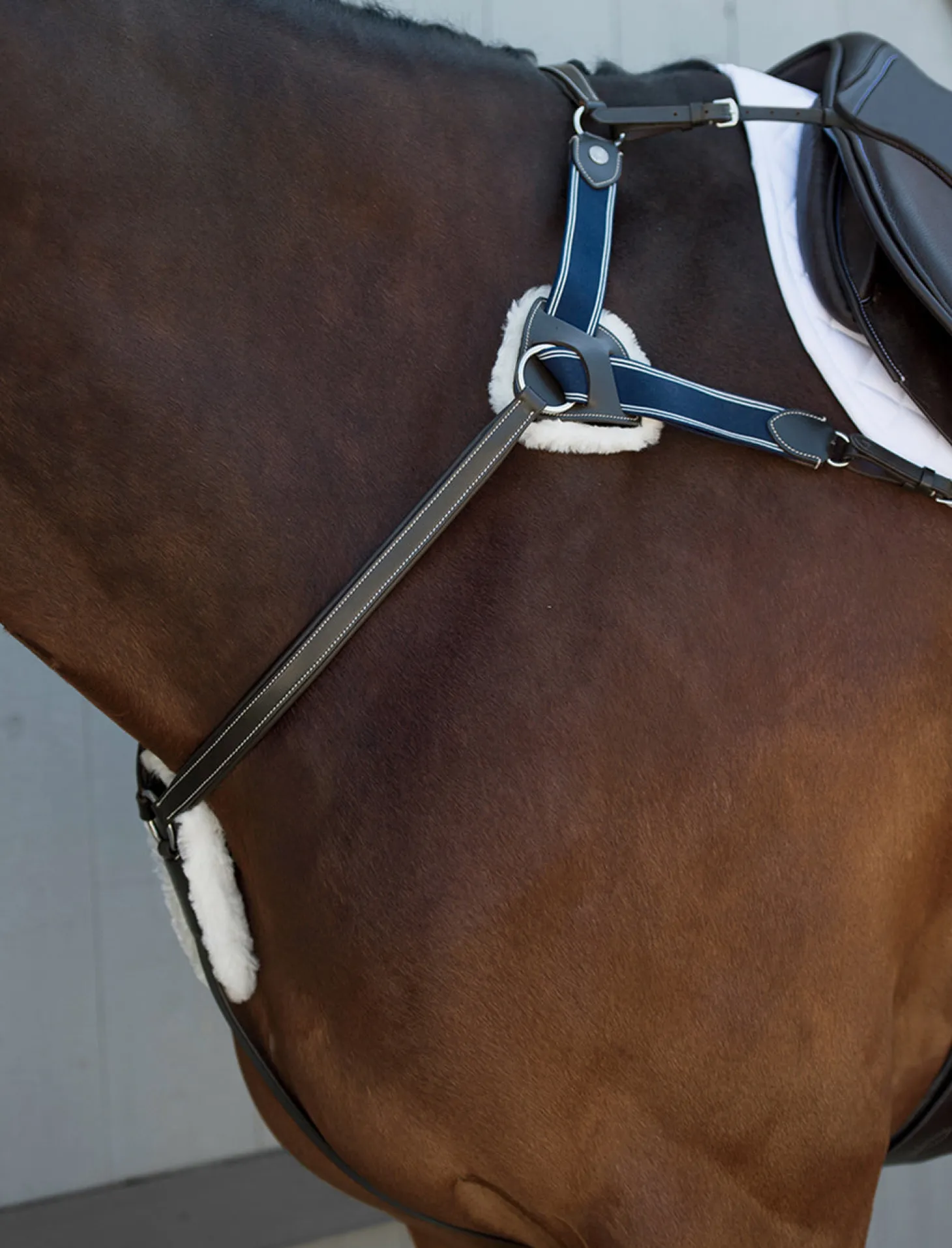 Suffolk™ 5-Point Breastplate