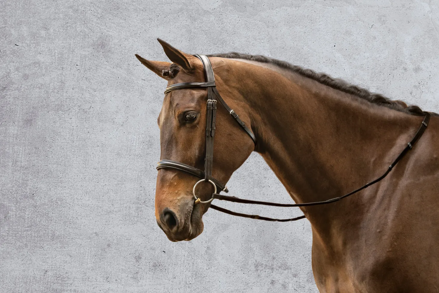 Suffolk™ Single Crown Classic Dressage Bridle