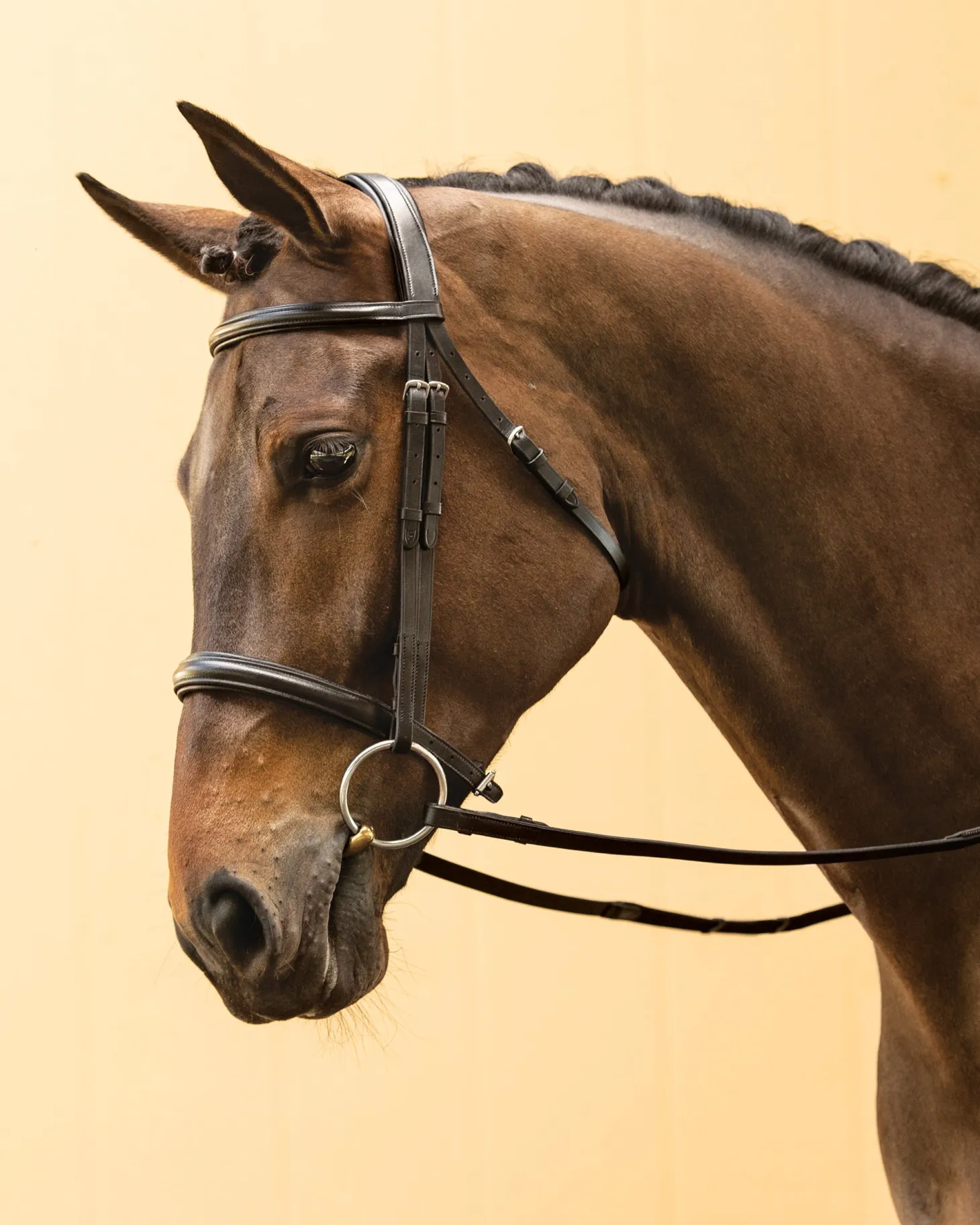 Suffolk™ Single Crown Classic Dressage Bridle