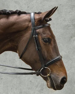 Suffolk™ Single Crown Classic Dressage Bridle