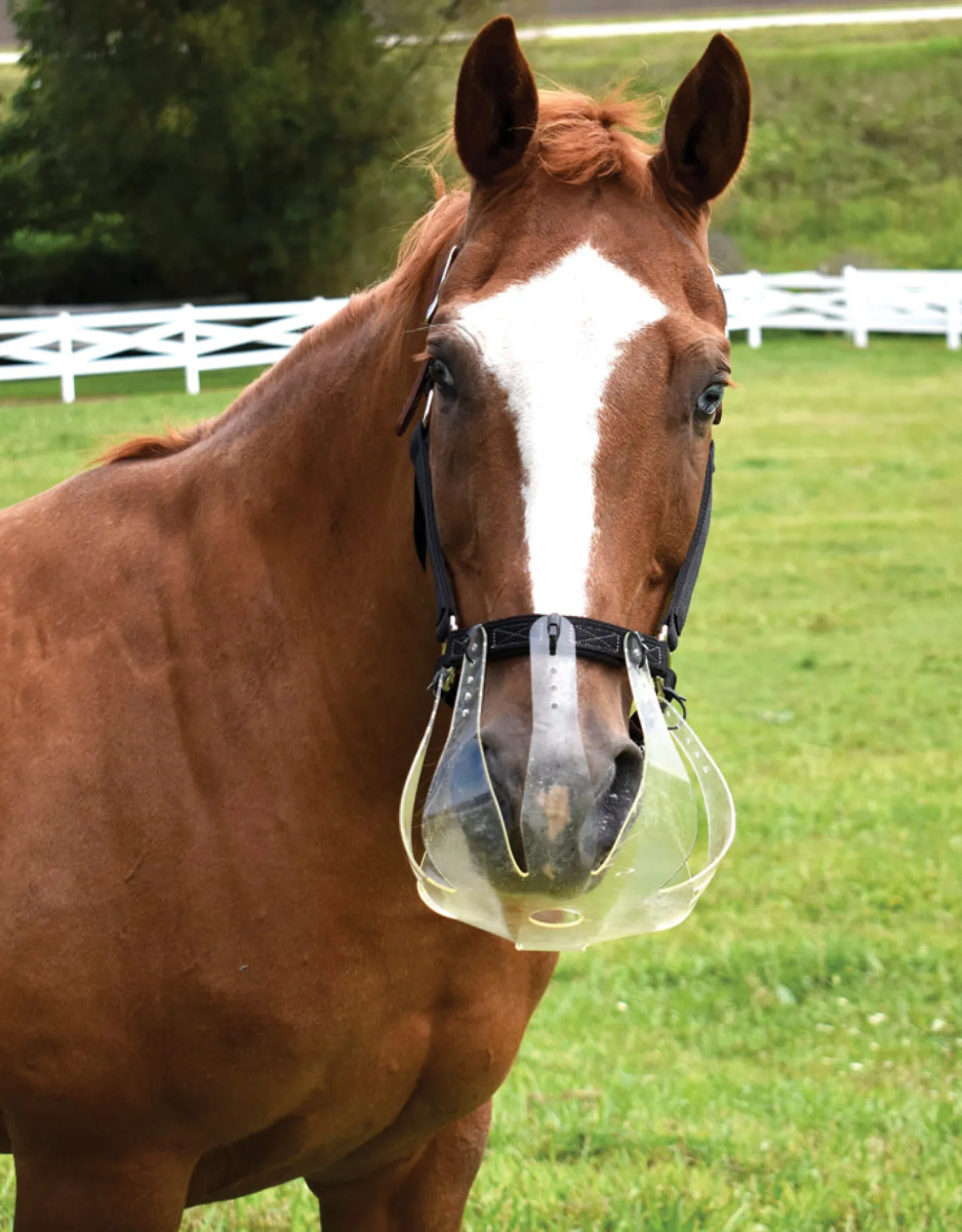 ThinLine® Flexible Filly Slow Feed Grazing Muzzle 2.5+cm