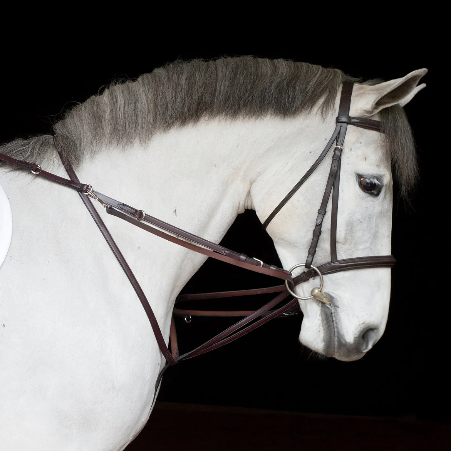 Tory Leather Company German Martingale Rein Set
