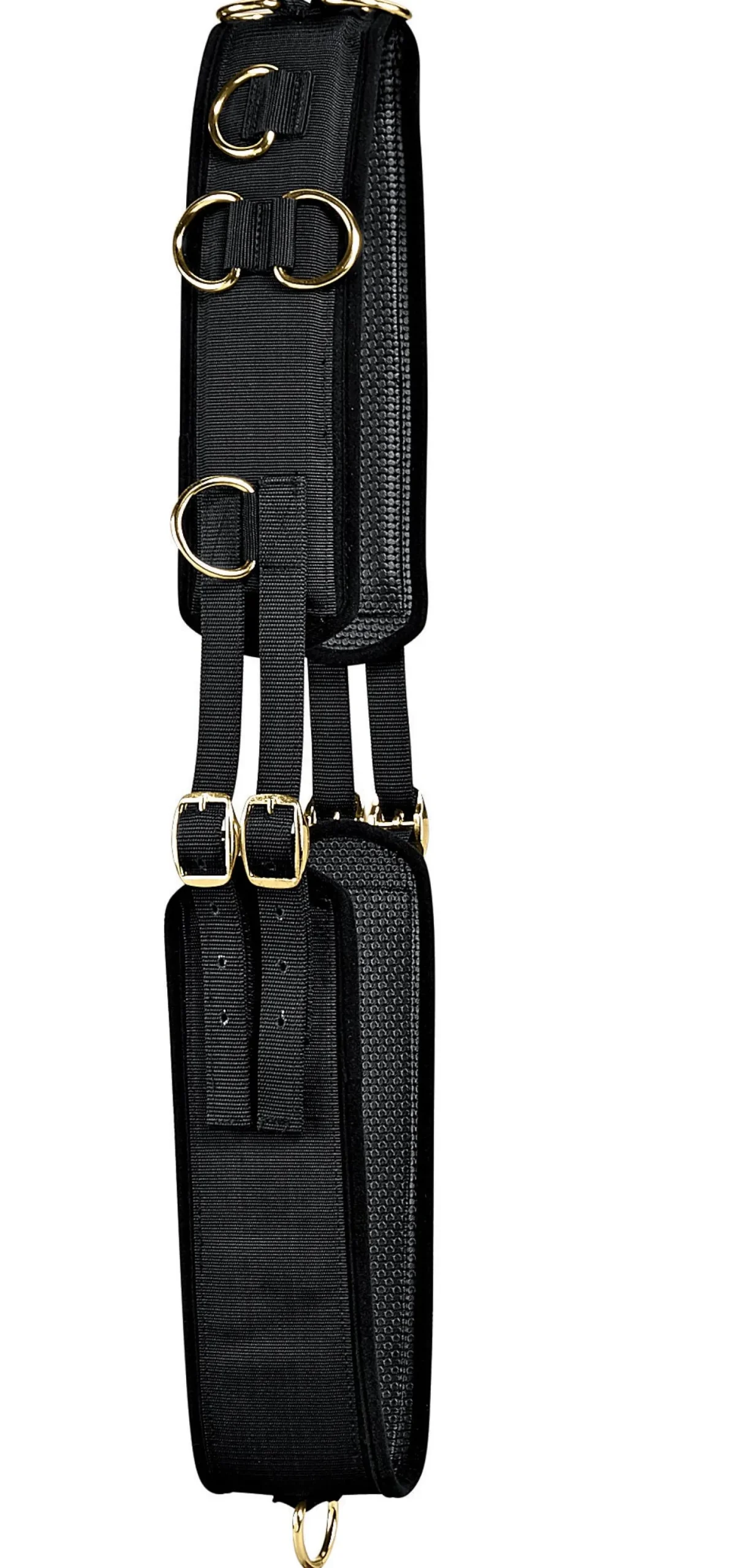 Tory Neoprene Training Surcingle