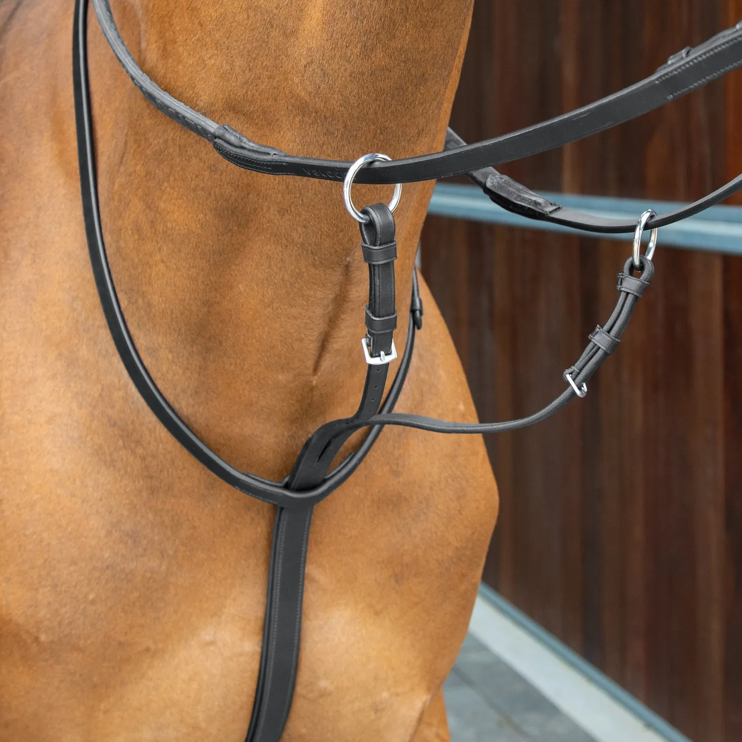 Velociti Lusso Running Martingale
