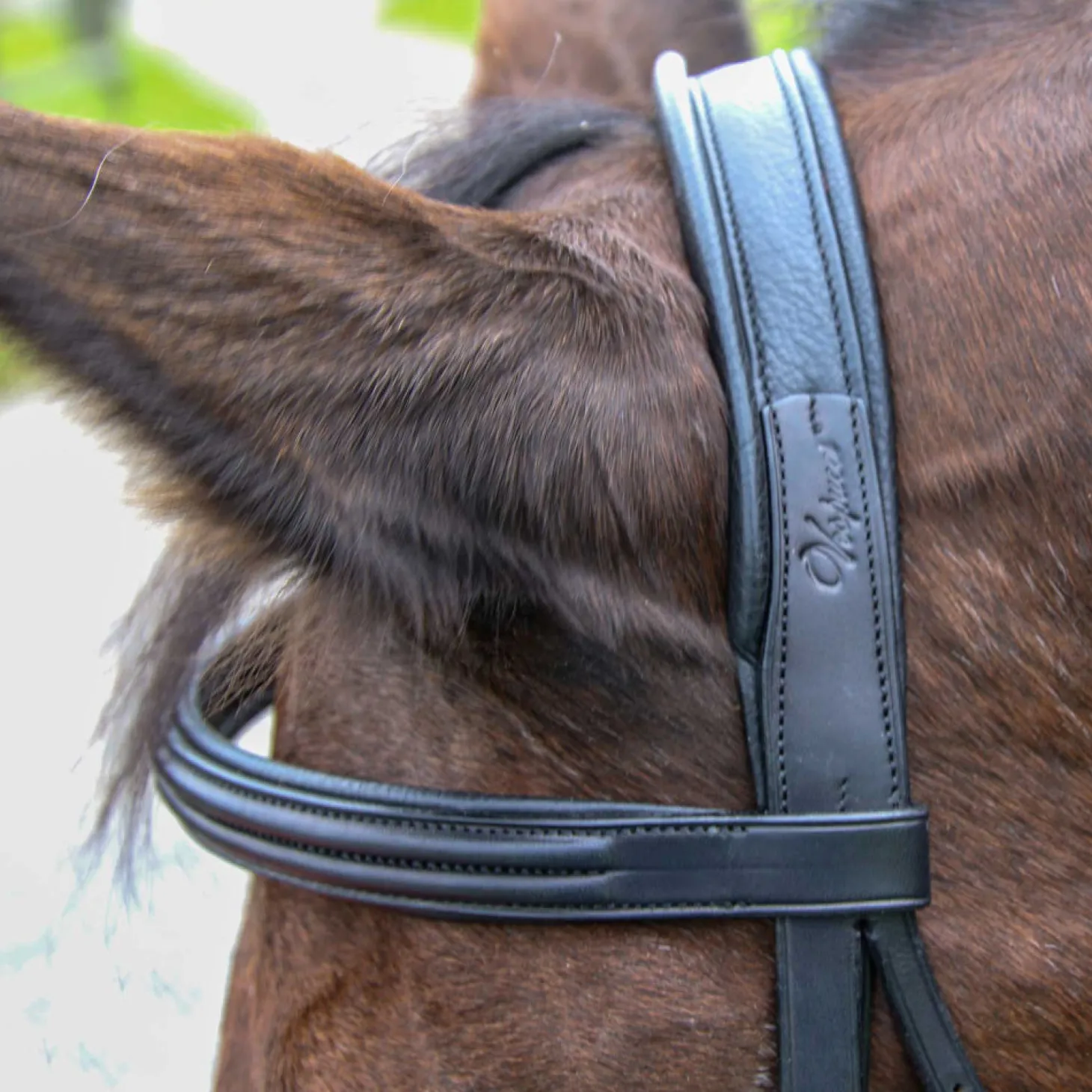 Vespucci Classic Dressage Bridle