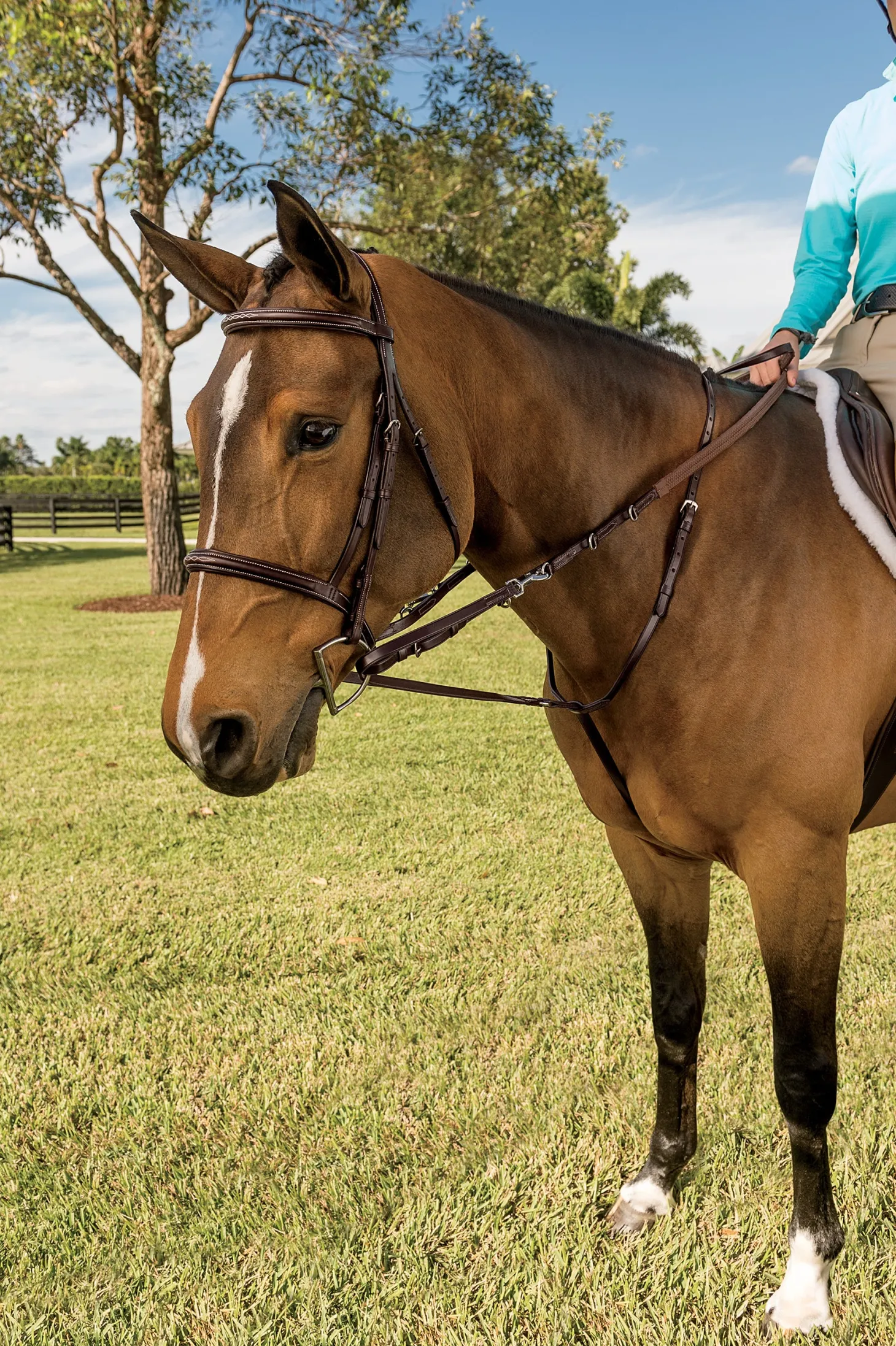 Walsh™ German Martingale
