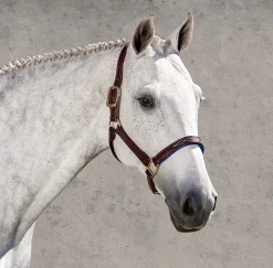Walsh™ Signature Padded Halter