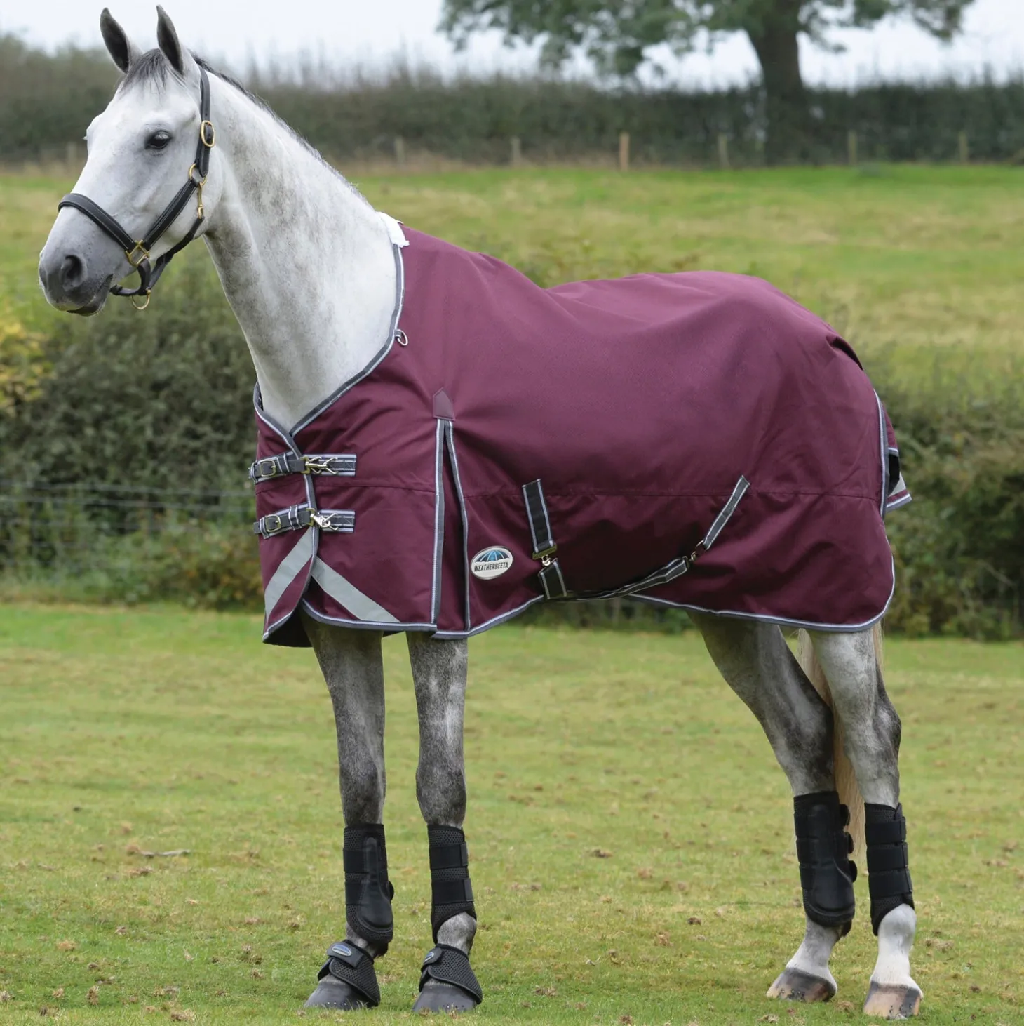 WeatherBeeta® ComFiTec™ Plus Dynamic II Standard Neck Medium-Weight Turnout Blanket