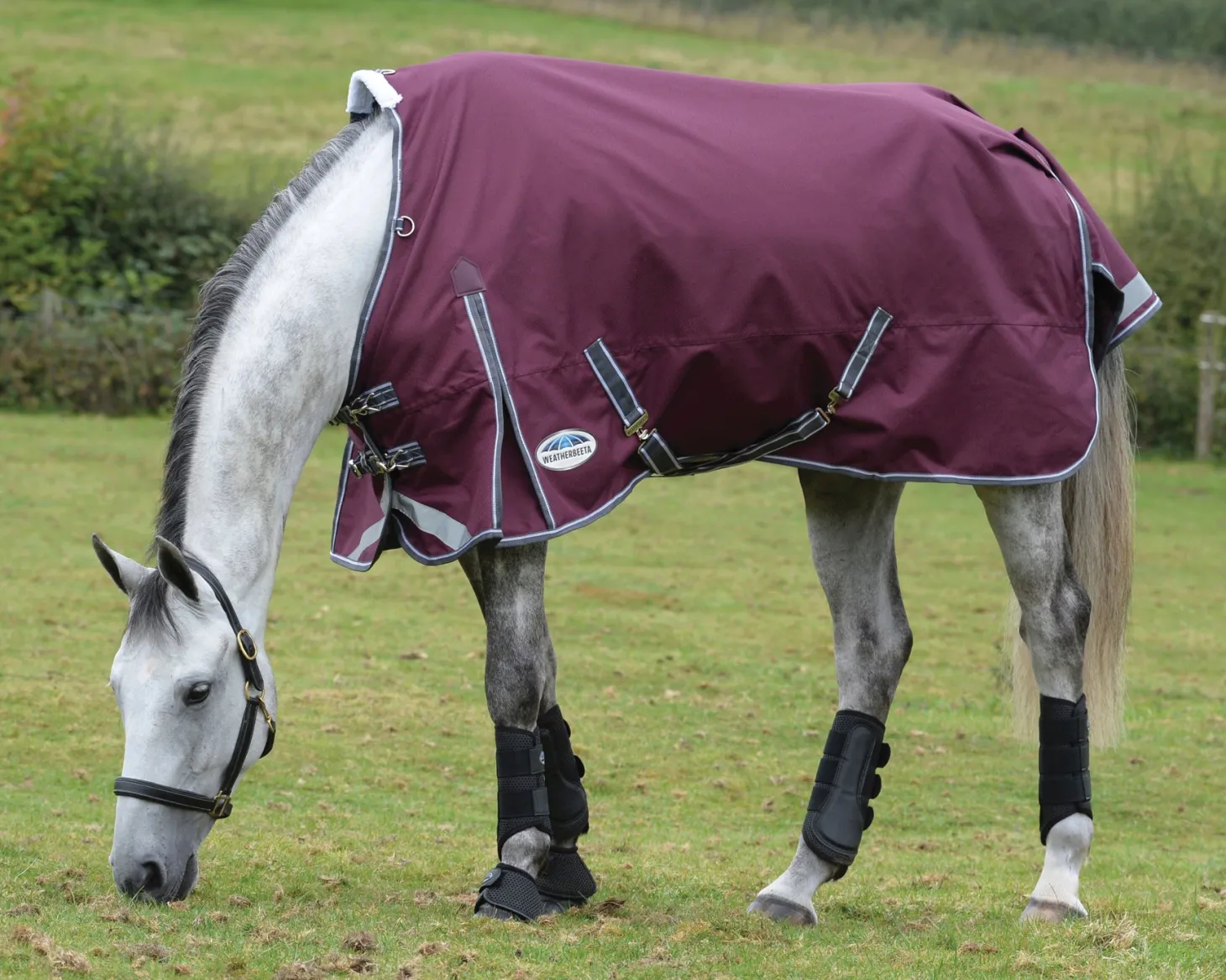 WeatherBeeta® ComFiTec™ Plus Dynamic II Standard Neck Medium-Weight Turnout Blanket