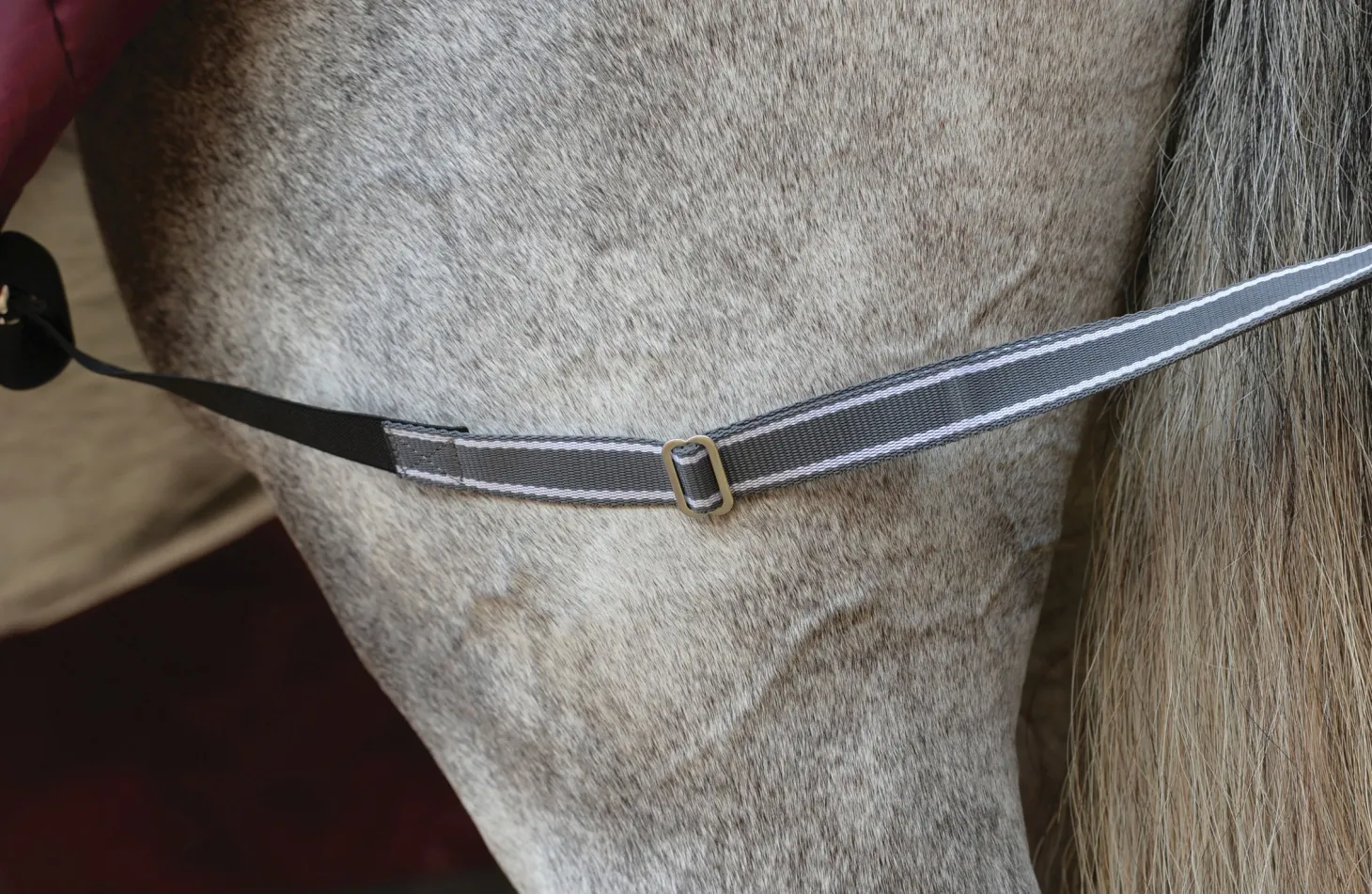 WeatherBeeta® ComFiTec™ Plus Dynamic II Standard Neck Lite Turnout