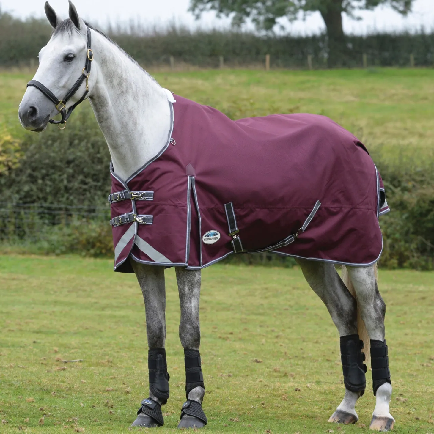WeatherBeeta® ComFiTec™ Plus Dynamic II Standard Neck Lite Turnout