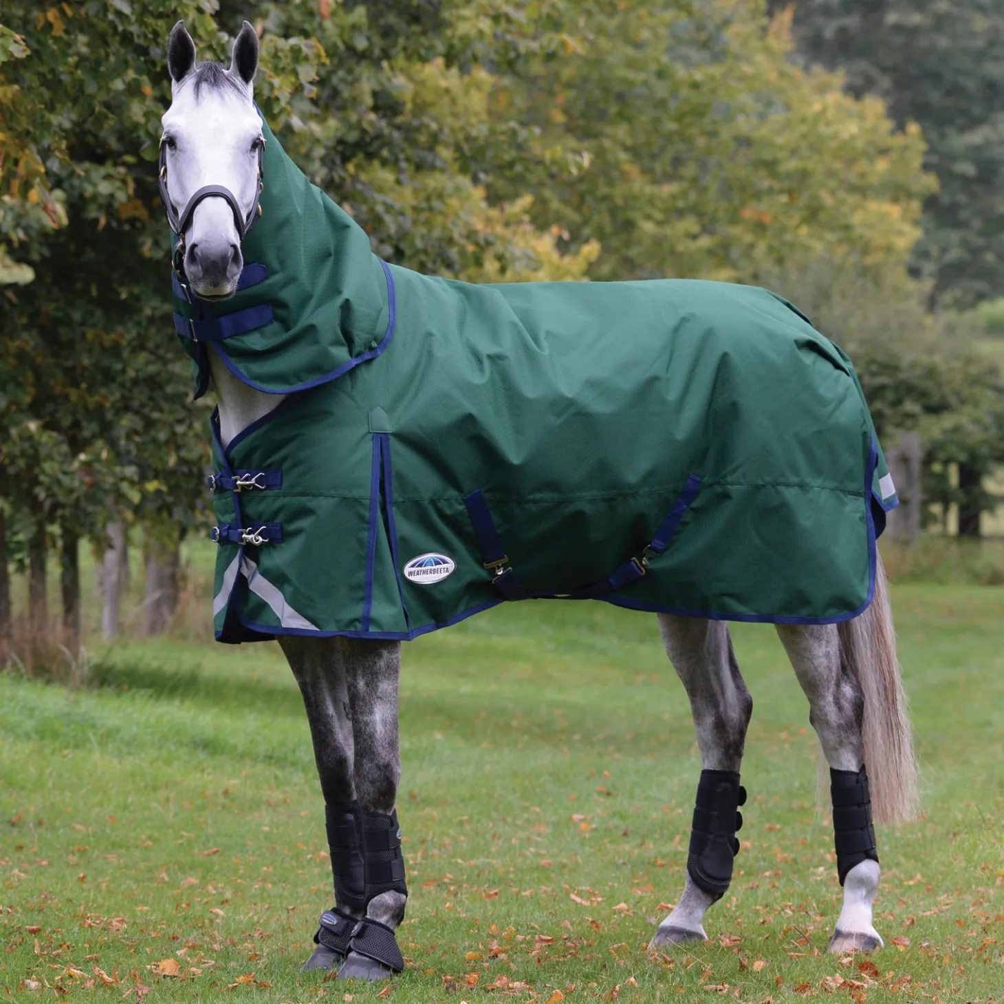WeatherBeeta® ComFiTec™ Plus Dynamic II Detach-A-Neck Heavyweight Turnout Blanket