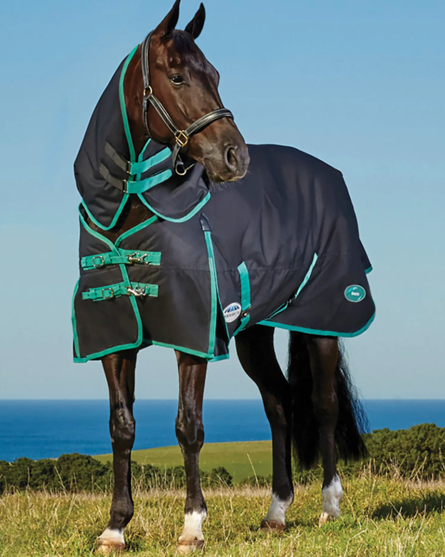 WeatherBeeta® Green-Tec 900D Detach-A-Neck Lite Plus