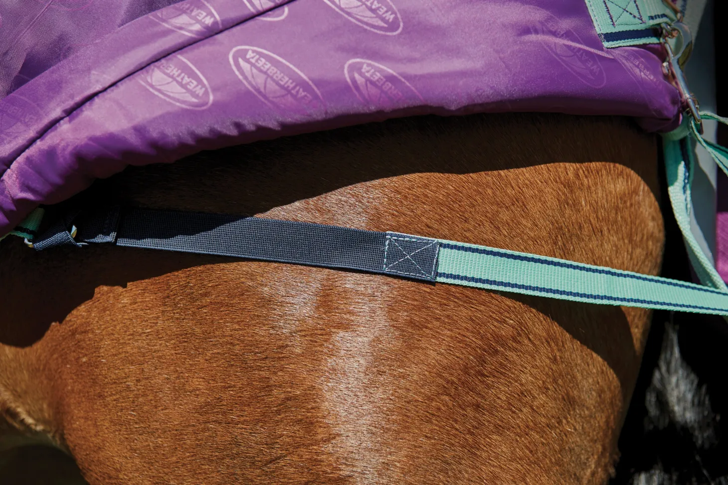 WeatherBeeta® Pony ComFiTec™ Premier Free II Detach-A-Neck Medium-Weight Turnout Blanket