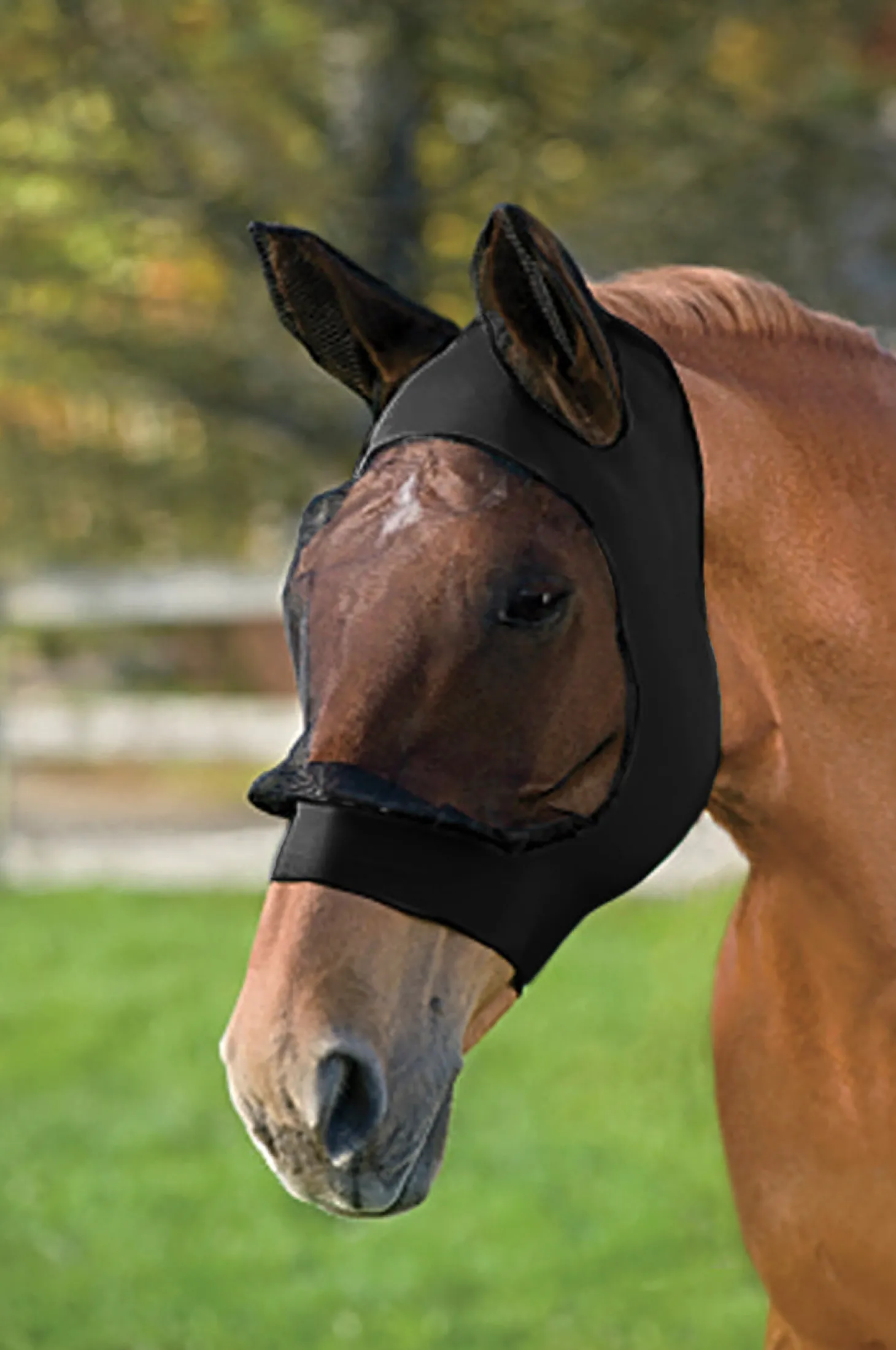 WeatherBeeta® Stretch Eye Saver with Ears